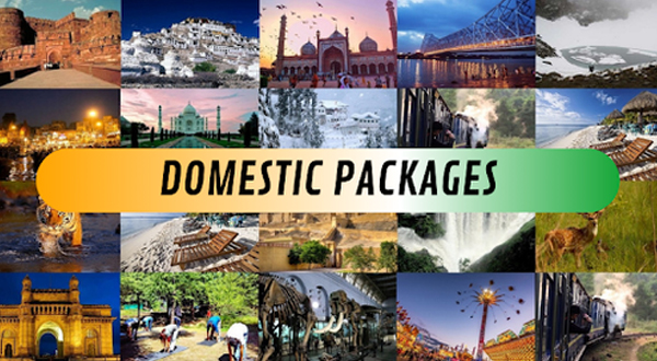Domestic Tour Packages
